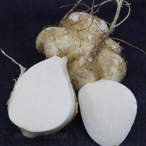 湖北特产新鲜地瓜凉薯沙果甜薯豆薯土瓜沙葛番薯农产品水果包邮