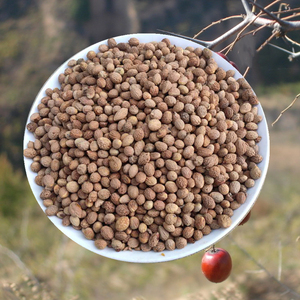 邢台野生酸枣核山枣核原籽通货酸枣仁睡眠枕头手串料2021新货包邮