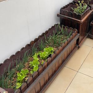 种莱筐阳台庭院露台种菜盆楼顶葡萄月季滕树果树盆防腐木花箱大号