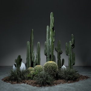 热带大型仿真沙漠植物搭配组合造景仙人掌室内楼梯间景观橱窗装饰