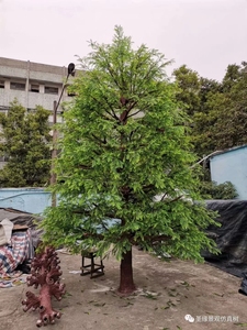 仿真落羽杉树红豆杉树大型假杉树定制假水杉树博物馆展馆装饰造景