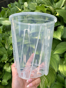 透明控根蝴蝶兰专用花盆塑料透气加厚海芋花烛蔓绿绒镂空青山花盆