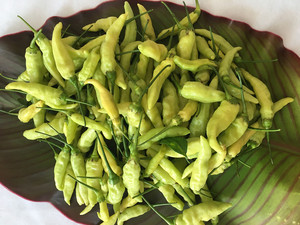 西双版纳特产绿色野山椒小米辣泡椒小米椒调料250克,任选4件包邮