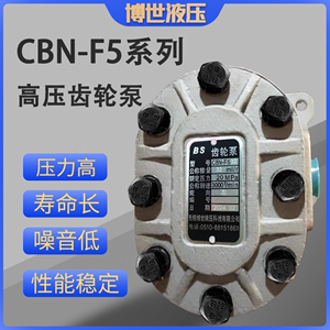 无锡博世电动齿轮泵高压油泵抗震高转速CBN-F525/32/40/50/63/80