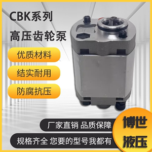 无锡博世举升机齿轮泵液压泵小型油泵CBK-F1.1/1.6/3.2/4.2/5.8