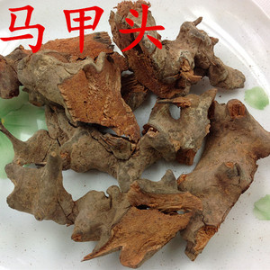 刺篱笆马甲子