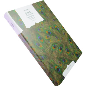 彩画集 地狱一季 兰波 王道乾翻译 正版书籍 诗歌 全新当天发