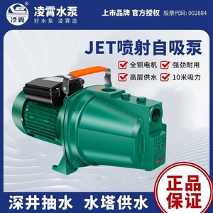 广东凌霄水泵JET150家用自吸泵喷射泵水塔抽水机井水抽水泵JET100
