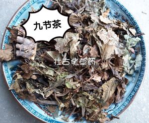 野生九节茶  中草药肿节风 草珊瑚九节风接骨茶驳节茶500g包邮
