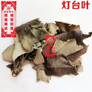 中药材 灯台叶 灯台树 吃力秀 阿根木 大矮陀 鸭脚树 买担别