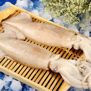 连云港生鲜海鲜鱿鱼500g新鲜冷冻大鱿鱼海产品烧烤食材铁板烧整条
