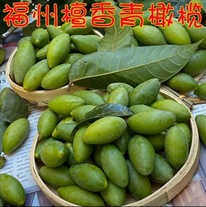 青橄榄檀香二号福建福州闽清特产可生吃原产地现摘现发鲜果