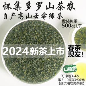 广东怀集特产2024新茶高山云雾绿茶清香型耐泡春茶多罗山农家茶叶