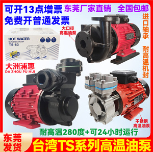 TS-63/71台湾高温油泵模温机热油循环泵耐高温280°C油泵导热油泵