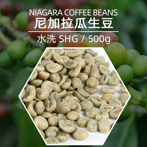 喜逗尼加拉瓜咖啡生豆shg 生咖啡豆原料手选高山豆500g
