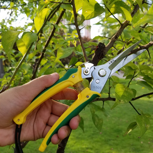 名钻稀果剪葡萄稀果疏果摘果樱桃剪剪刀园艺修枝剪刀果树剪刀家用