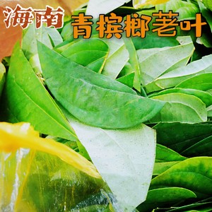 海南吃槟榔荖叶纯叶子按斤出售红汁荖叶青蒟青槟榔非假蒌顺丰包邮