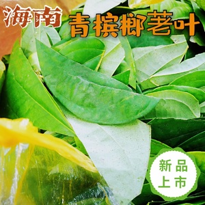 海南吃槟榔荖叶纯叶子按斤出售红汁荖叶青蒟青槟榔非假蒌顺丰包邮