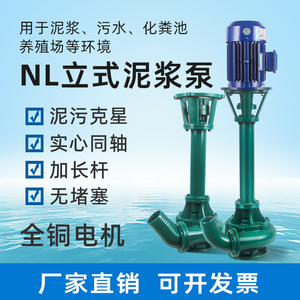 NL立式泥浆泵抽粪污水泵380V鱼塘清淤泥泥浆抽沙切割液下泵大流量