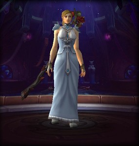 魔兽世界布甲幻化月布长袍附魔师的长袍洞察法袍黑天鹅绒长袍旅者