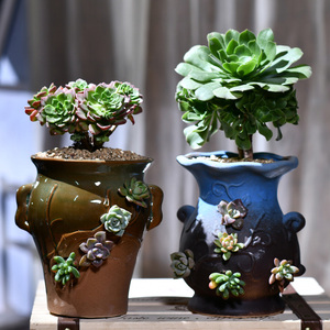 陶瓷多肉植物老桩肉肉粗陶吸水花盆室内阳台高盆陶盆花器清仓