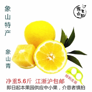 已售罄 象山青柑橘甜柠檬 黄金贡柚 春香桔子 清香蜜桔