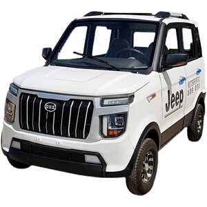 新能源电动四轮车汽车成人油电混合小型全封闭家用代步锂电越野款