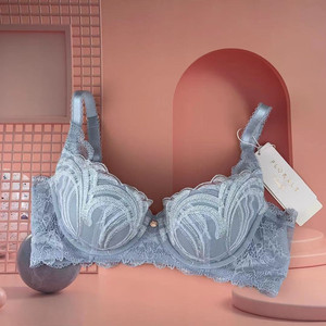 001人付款淘宝22韩国vivien有钢圈高端精美蕾丝上托可插片鱼骨侧收