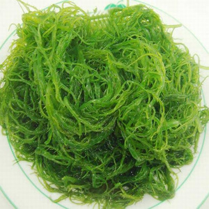 买3送2 盐渍海草龙须菜500g凉拌发菜海菜绿藻石花菜海藻 非即食