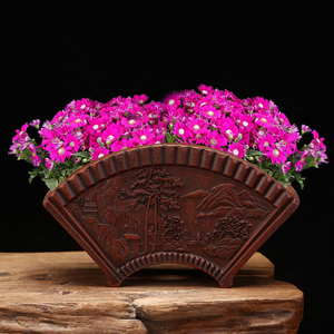 绿植盆栽中国风透气高档紫砂君子兰扇形盆栽花盆jiangyan0081828