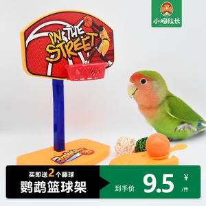 鹦鹉宠物鸟益智训练篮球玩具 迷你篮球筐投篮站架智力开发鸟用品
