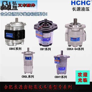 合肥长源齿轮泵液压泵高压油泵CBHZ-F31.5-ALHL合力杭叉2-3T