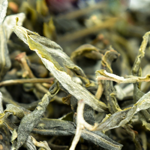 云南大叶种茶2021晒青茶临沧头春老树生普散茶散装普洱茶生茶