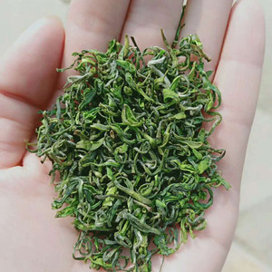 赣榆徐福绿茶2022连云港佃马场村散装茶叶一级春茶芽茶500克包邮