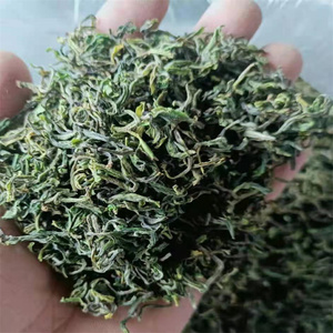 2021徐福绿茶芽茶连云港特产赣榆春茶炒青散装明前茶袋装500g包邮