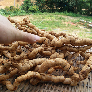 特级巴戟天凤眼根中药材男性泡酒养生鸡肠风鸡眼藤农产品食用500g