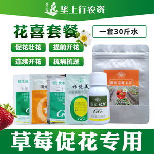 国光花喜套餐草莓促进生长保花保果花芽分化水溶叶面肥生长调节剂