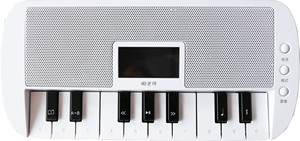 田老师古筝变速伴奏器ti pro流行伴奏播放器d调g调考级陪练机演出