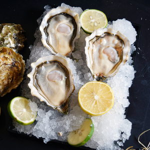 冰岛生蚝鲜活