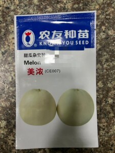 台湾农友美浓甜瓜种子 丽浓甜瓜种子白瓜种子白皮淡白绿肉 糖度高