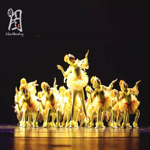 第九届小荷风采儿童舞蹈快乐的鸡娃娃表演服幼儿小鸡舞台演出服