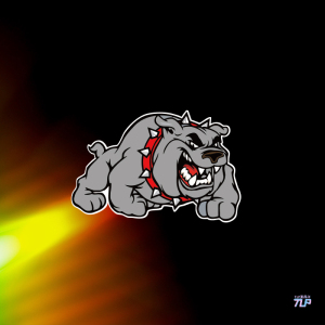 tlp反光车贴 猫和老鼠斯派克斗牛犬动画卡通幼儿园宠物店装饰贴纸