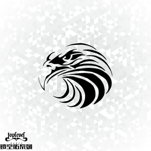 tlp镂空车贴 鹰眼 鹰头像动物图腾纹身贴 笔记本贴行李箱贴玻璃贴