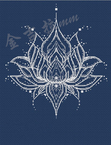 法国正品dmc绣线十字绣套件 纯白莲花 单色绣简单绣 透视 包邮