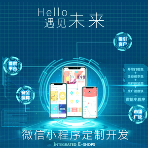 广州本地APP小程序开发 实体公司 专业团队 广州网站建设 ERP系统