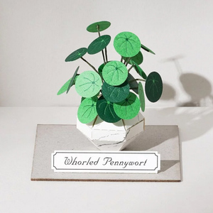 jeancard纸风景立体纸雕3d镭射diy材料包纸模型创意手工迷你植物