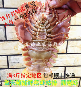 九齿扇虾鲜活