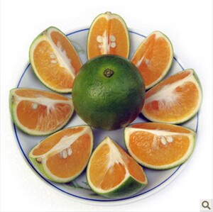 海南新鲜水果绿橙新鲜水果橙子绿橙香甜多汁现摘3斤起拍包邮_阿里巴巴