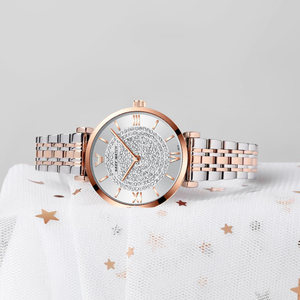 nary/耐瑞 正品瑞十大士新款网红手表女士气质镶钻简约防水石英表