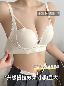 强效提拉 小胸聚拢内衣女防下垂收副乳3D显圆A变C调整型无痕文胸